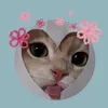rawrrr_u.u