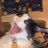 megannhdn