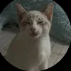 cocooxchanel