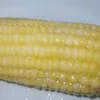 morenadiva7