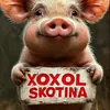 xoxlysvinosobaki