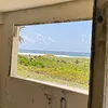 mblorgan