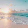 islandgirl_bk