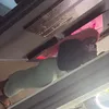 aniawalker3