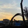 _snjajana