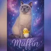 muffin_bkh1410