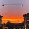sseelliinn24
