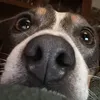 soofijsje