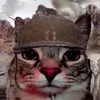 irllylovemycat