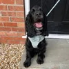 bertie.boo.24
