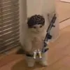 l_____fbi______l