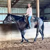 taylorkraml