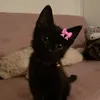elisaaahu_