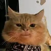 soso_ki