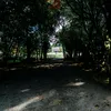 hbibo5