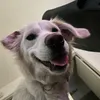 finnfluencer2