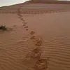 thelittledou