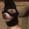 pookie.1018