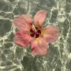 tazmin_jans