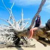 libbylou___