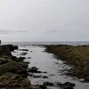asmiisaf