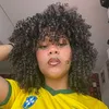 paamelaap