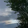 ayla_s66