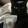 nqcrsn