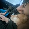 brooke_greene8
