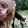 staceyjarviswilli