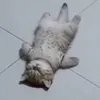 dumdumdadumdum