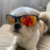 pincesomalito