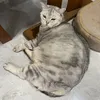 nsami__
