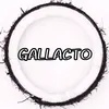 GALLACTO