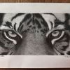 drawing_allday
