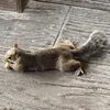 wellheytherelittlebuddy