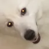 fpinexda