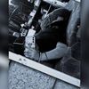 nicolosnaya21