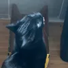 cndyspriv