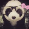 sp1kedl0ve