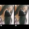 agnisekarayu