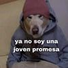 vicentegc05