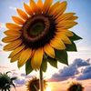 haydee_0364