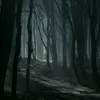 charl_xe66a6