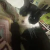 freyasverymuchspam