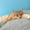 am08042019