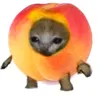 gurdeloollek