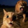 mishu_0341