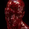 xelyzd