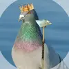 pedro_le_roi_pigeons